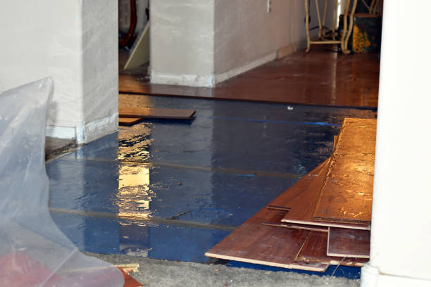 Professional Burst Pipe Cleanup technician working in New Manchester, WV